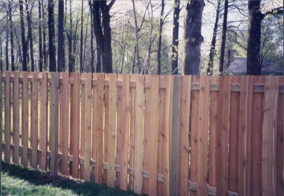 Fences photo 5