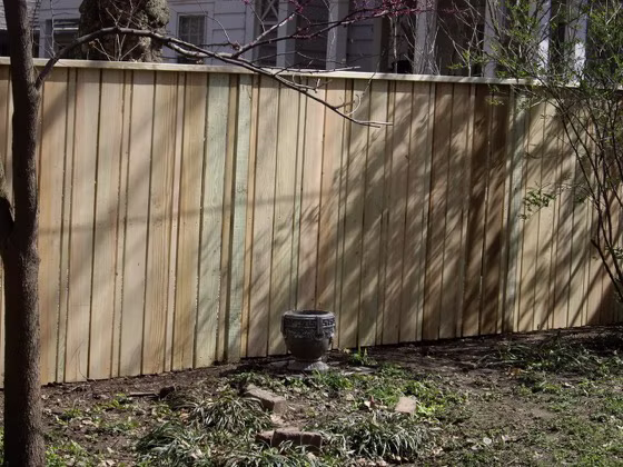 Fences photo 11