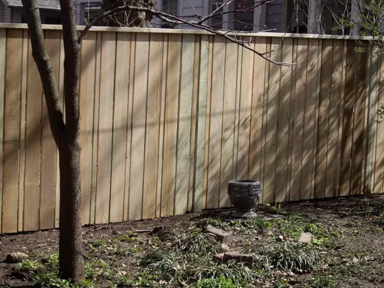 Fences photo 12