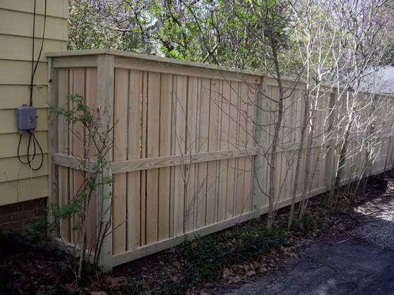 Fences photo 14