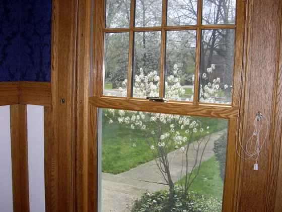 Windows & Doors photo 31