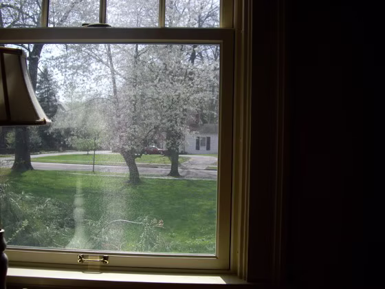 Windows & Doors photo 34